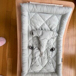 Charlie Crane Baby Rocker LEVO Used